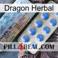 Dragon Herbal 39